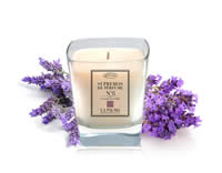 SUPREMO DE LAVANDA DE CASTILLA